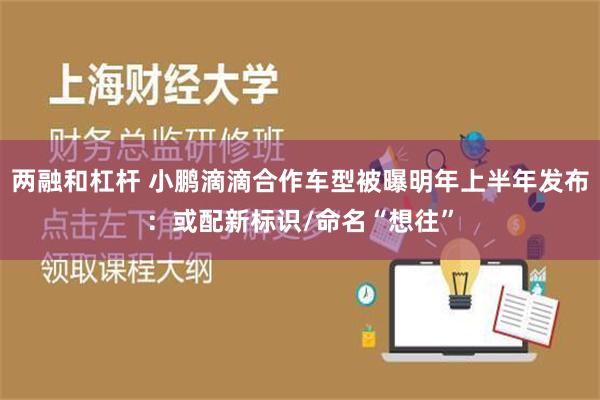 两融和杠杆 小鹏滴滴合作车型被曝明年上半年发布：或配新标识/命名“想往”