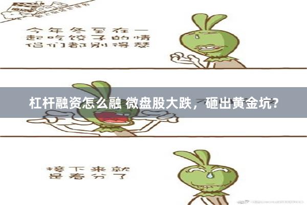 杠杆融资怎么融 微盘股大跌，砸出黄金坑？