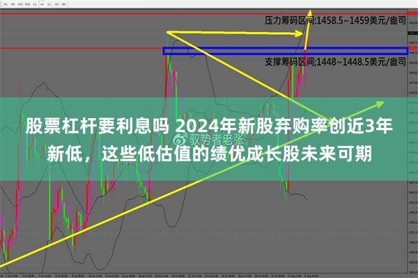 股票杠杆要利息吗 2024年新股弃购率创近3年新低，这些低估值的绩优成长股未来可期