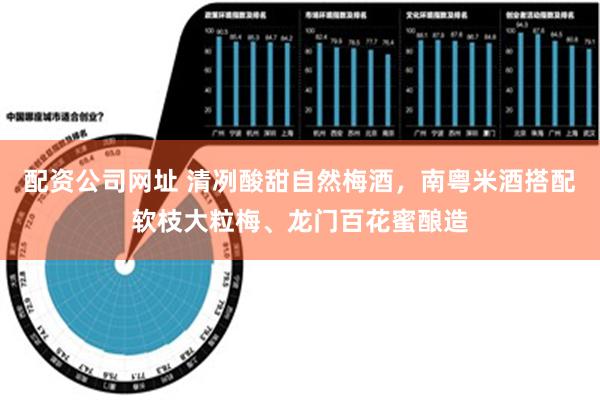 配资公司网址 清冽酸甜自然梅酒，南粤米酒搭配软枝大粒梅、龙门百花蜜酿造