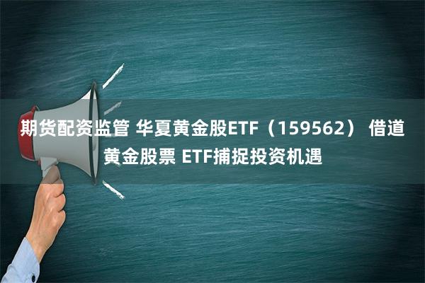 期货配资监管 华夏黄金股ETF（159562） 借道黄金股票 ETF捕捉投资机遇