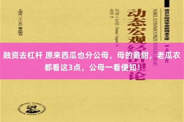 融资去杠杆 原来西瓜也分公母，母的最甜，老瓜农都看这3点，公母一看便知！