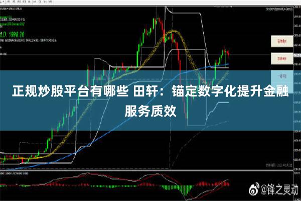 正规炒股平台有哪些 田轩：锚定数字化提升金融服务质效