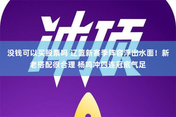 没钱可以买股票吗 辽篮新赛季阵容浮出水面！新老搭配很合理 杨鸣冲四连冠底气足