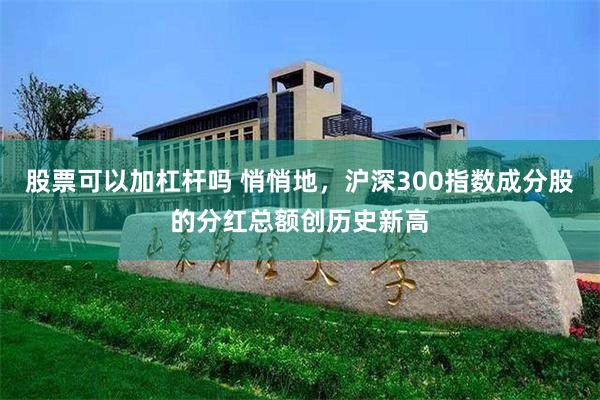 股票可以加杠杆吗 悄悄地，沪深300指数成分股的分红总额创历史新高