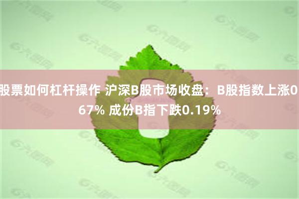 股票如何杠杆操作 沪深B股市场收盘：B股指数上涨0.67% 成份B指下跌0.19%