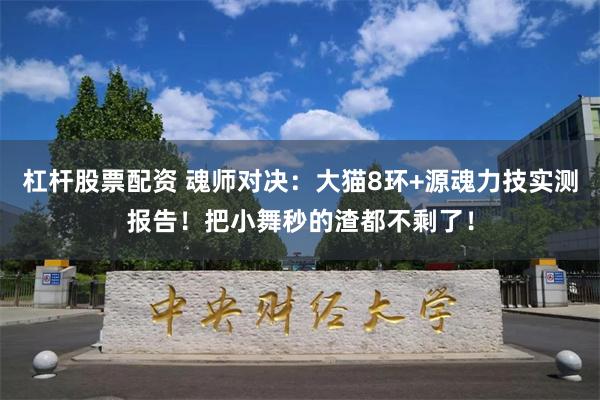 杠杆股票配资 魂师对决：大猫8环+源魂力技实测报告！把小舞秒的渣都不剩了！