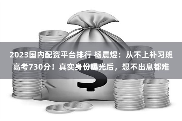 2023国内配资平台排行 杨晨煜：从不上补习班高考730分！真实身份曝光后，想不出息都难