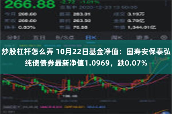 炒股杠杆怎么弄 10月22日基金净值：国寿安保泰弘纯债债券最新净值1.0969，跌0.07%