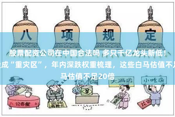 股票配资公司在中国合法吗 多只千亿龙头新低！食饮股成“重灾区”，年内深跌权重梳理，这些白马估值不足20倍